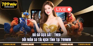 Đá Gà Cựa Sắt - Theo Dõi Màn So Tài Kịch Tính Tại 789WIN