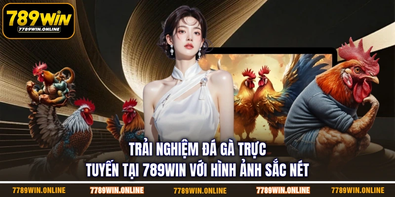 Trải nghiệm đá gà trực tuyến tại 789WIN với hình ảnh sắc nét Trải nghiệm đá gà trực tuyến tại 789WIN với hình ảnh sắc nét